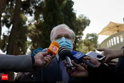 نمکی: ویروس انگلیسی در کشور پخش شده است