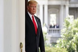 سنای آمریکا ترامپ را تبرئه کرد