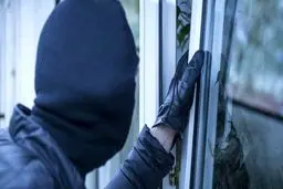 سرگذشت عجیب دزد فوق لیسانس!