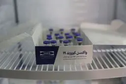هیچ عارضه جدی برای داوطلبان واکسن ایرانی کرونا به وجود نیامده است