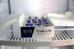 هیچ عارضه جدی برای داوطلبان واکسن ایرانی کرونا به وجود نیامده است