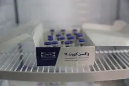 هیچ عارضه جدی برای داوطلبان واکسن ایرانی کرونا به وجود نیامده است