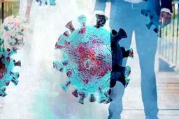 عروسی کرونایی ۳ داماد را راهی زندان کرد