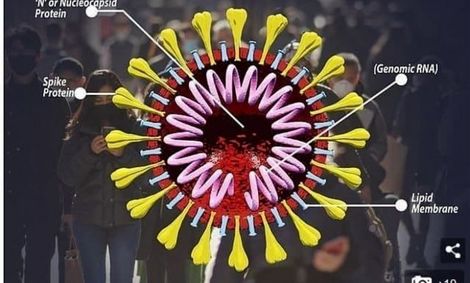 کرونای انگلیسی به استان ایلام رسید / ۲ ‌مبتلا به کرونای جهش یافته شناسایی شد