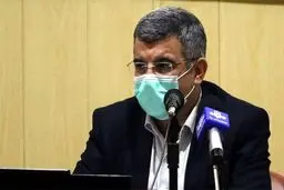 حریرچی: واکسن کرونای پاستور در اردیبهشت و واکسن برکت از تیرماه قابل استفاده است