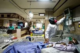 جزییات ورود کرونای انگلیسی به هرمزگان اعلام شد
