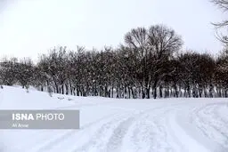 بارش برف و باران و کاهش دما/ از سفرهای برون‌شهری خودداری کنید