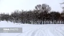 بارش برف و باران و کاهش دما/ از سفرهای برون‌شهری خودداری کنید