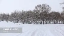 بارش برف و باران و کاهش دما/ از سفرهای برون‌شهری خودداری کنید