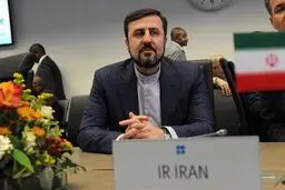 غریب آبادی: تمام دسترسی های تکمیلی آژانس از نیمه شب امشب متوقف می شود