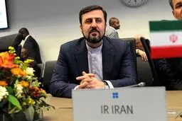 غریب آبادی: تمام دسترسی های تکمیلی آژانس از نیمه شب امشب متوقف می شود