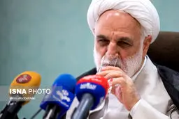 محسنی‌اژه‌ای: شایعات در مورد خانواده من کذب است