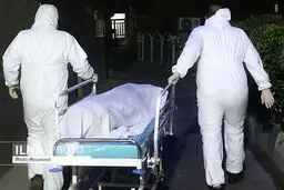 ۴۰ امدادگر زلزله سی‌سخت کرونایی بودند/ مبتلا شدن پزشک متخصص استان به کرونای انگلیسی