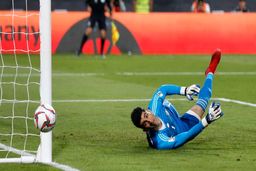 درخشش «علیرضا بیرانوند» این بار در فرانسه