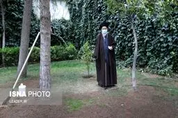 کاشت نهال توسط مقام معظم رهبری