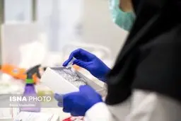 نرخ تست PCR در بخش خصوصی ۳۱۰هزار تومان