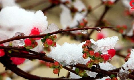 دمای زیر صفر در ۱۶ استان کشور/ بارش برف و باران از دوشنبه هفته آینده