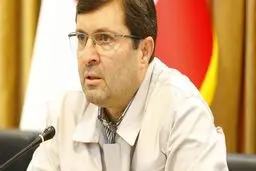 مدیرعامل سابق سایپا: پراید گران نیست / سیاسی‌کاری صنعت خودرو را نابود می‌کند