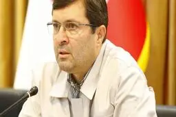 مدیرعامل سابق سایپا: پراید گران نیست / سیاسی‌کاری صنعت خودرو را نابود می‌کند