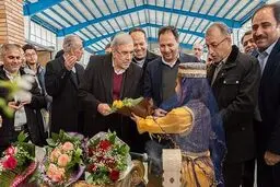 مدیرعامل منطقه آزاد کیش برکنار شد