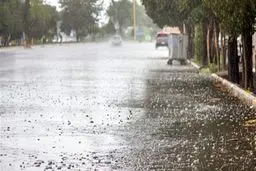 وزش باد و بارش باران در اغلب شهر‌ها و یخبندان در ۲۱ استان کشور