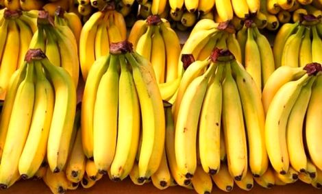 قیمت موز کاهش یافت