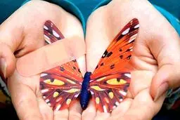 گم شدن بی پاسخ پانسمانِ بیماران پروانه‌ای