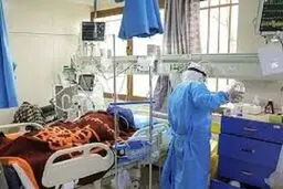 ویروس کرونای فرانسوی هم رسید