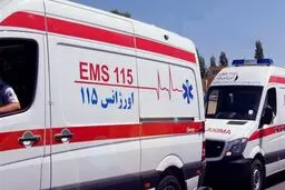 حدود ۸ هزار تماس با سامانه ۱۱۰ در چهارشنبه آخر سال