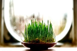 گل و سبزه شب عید چند؟