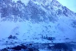 بازگشایی هراز بعد از انسداد موقت/ ریزش بهمن علت انسداد