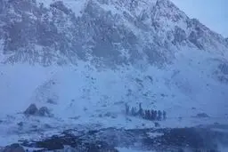 بازگشایی هراز بعد از انسداد موقت/ ریزش بهمن علت انسداد