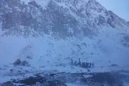 بازگشایی هراز بعد از انسداد موقت/ ریزش بهمن علت انسداد
