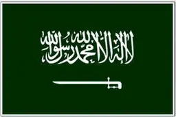 دختر خبرنگار مخالف آل سعود ربوده شد