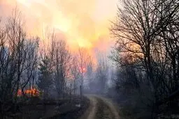 کنترل آتش سوزی در کردلان /حریق به گنبد نمک نرسید!