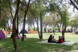 جریمه ۵۰۰ هزارتومانی پارک خودرو در مقابل پارک‌ها