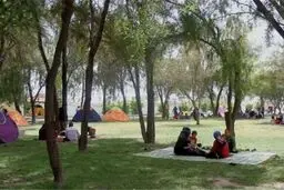 جریمه ۵۰۰ هزارتومانی پارک خودرو در مقابل پارک‌ها