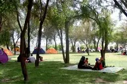 جریمه ۵۰۰ هزارتومانی پارک خودرو در مقابل پارک‌ها