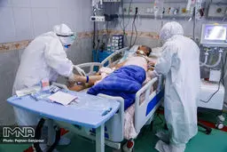 حریرچی: فوتی‌های کرونا چند برابر خواهد شد