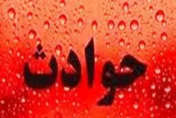 پسر جوان : زن مطلقه با وعده اسکناس‌های قله هرم زندگی ام را ویران کرد