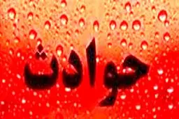 پسر جوان : زن مطلقه با وعده اسکناس‌های قله هرم زندگی ام را ویران کرد