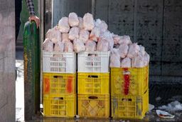 دستگیری ۲۰ دلال بازار مرغ/ بیش از ۵۳ تن مرغ کشف شد