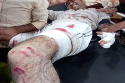 حمله پلنگ به مردی ۳۶ ساله در ارتفاعات بخش پاتاوه