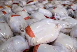 صف‌های طولانی مرغ به پایان می‌رسند؟