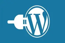 ویژگی محافظتی جدید WSOD می تواند وردپرس را در معرض خطر قرار دهد