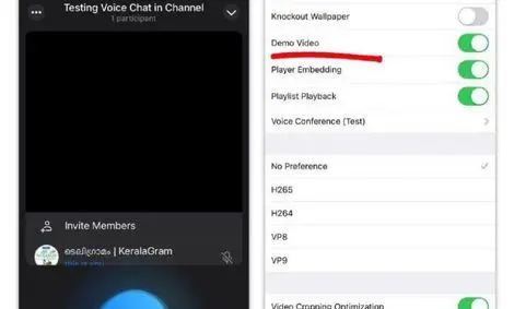 تماس تصویری گروهی در آپدیت جدید تلگرام