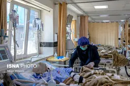 ۸۱ تن دیگر از مبتلایان کرونا جان‌ باختند/ شناسایی ۷۹۸۰ بیمار جدید