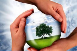 حفاظت از تالاب‌ها و عرصه‌های زیست محیطی وظیفه همه دستگاه‌های حاکمیتی و مردم است/ استانداران نظارت بیشتری روی تخصیص آب به تالاب‌ها در کنار صنایع و کشاورزی داشته باشند