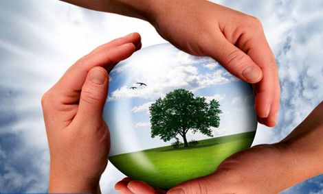 حفاظت از تالاب‌ها و عرصه‌های زیست محیطی وظیفه همه دستگاه‌های حاکمیتی و مردم است/ استانداران نظارت بیشتری روی تخصیص آب به تالاب‌ها در کنار صنایع و کشاورزی داشته باشند