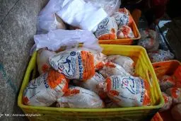 سومین روز “آرامش و خوشحالی” در بازار مرغ!